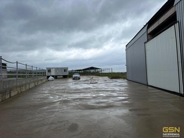 4-GSN GAYRİMENKUL'DEN AVRUPA STANDARTLARINDA RUHSATLI BESİÇİFTLİĞİ