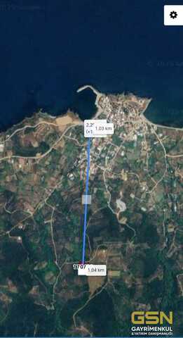 BALIKESİR BANDIRMA SAHİL YENİCE'DE SATILIK ZEYTİNLİK