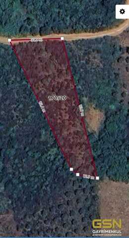 1-BALIKESİR BANDIRMA SAHİL YENİCE'DE SATILIK ZEYTİNLİK