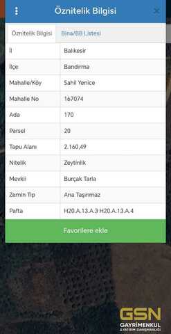 2-BALIKESİR BANDIRMA SAHİL YENİCE'DE SATILIK ZEYTİNLİK