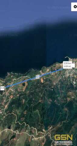 1-BALIKESİR BANDIRMA SAHİL YENİCEDE DENİZ MANZARALI SATILIK ZEYTİNLİK