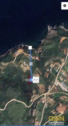 2-BALIKESİR BANDIRMA SAHİL YENİCEDE DENİZ MANZARALI SATILIK ZEYTİNLİK