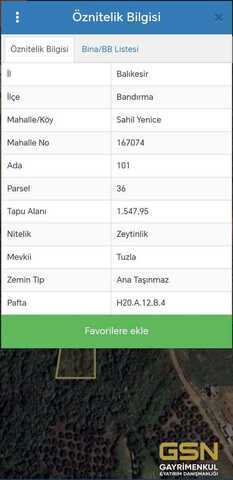 BALIKESİR BANDIRMA SAHİL YENİCEDE DENİZ MANZARALI SATILIK ZEYTİNLİK