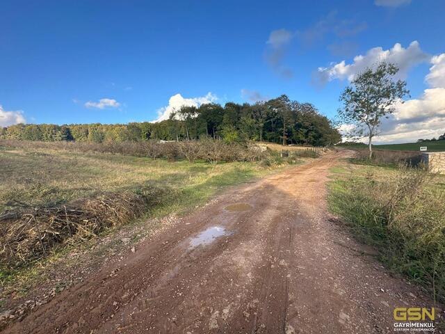 14-GSN GYRİMENKUL'DEN İZMİT ÇAĞIRGANLI KÖYÜNDE YOLA CEPHE TARLA