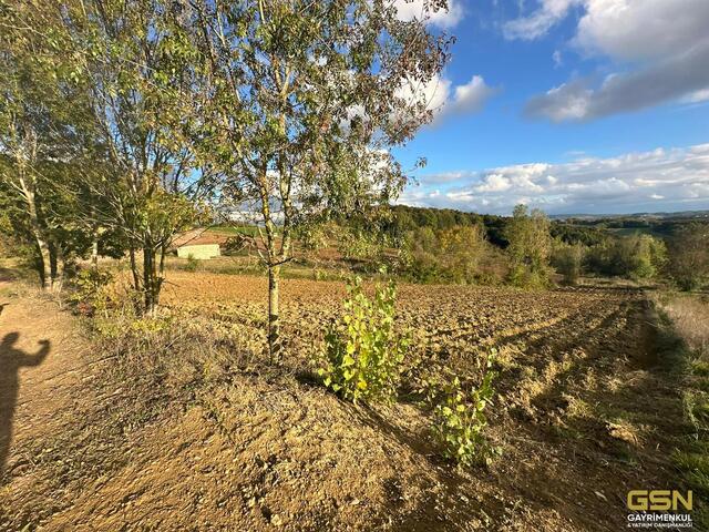 5-GSN GYRİMENKUL'DEN İZMİT ÇAĞIRGANLI KÖYÜNDE YOLA CEPHE TARLA