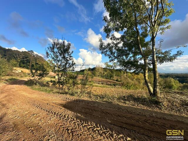 7-GSN GYRİMENKUL'DEN İZMİT ÇAĞIRGANLI KÖYÜNDE YOLA CEPHE TARLA
