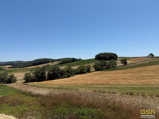 DERİNCE TAHTALIDA YOLA CEPHE SATILIK ARAZİ