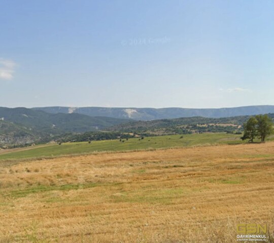 BİLECİK YENİPAZAR/BELKESE DE TAKASLI ARAZİ