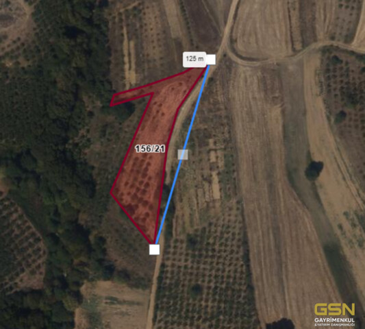 2-KOCAELİ KANDIRA TEKSEN MAHALLESİNDE YOLA CEPHE SATILIK TARLA